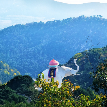 锦州青岩寺风景区一日游【歪脖老母精品团  跟团赠送老母金卡】
