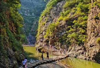 山东日照九仙山+海洋公园+情侣峰景区包车一日游-可英文服务【可提供英文及小语种导游服务-往返接送-可选导游-可代订门票】