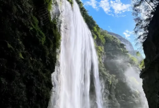 【纯玩·穿越中国十大名瀑·打卡5A景点】三峡大瀑布纯玩一日游【[轻松出游]每天上/下午2班，景区地势平坦，无需登高 爬山，全家老少游玩皆宜!】