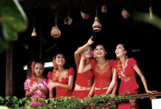 中国科学院西双版纳热带植物园+傣族园一日游【6人内品质纯玩】【臻选6人内小团，上门接送，出发游览时间随意，无购物无隐形消费；】