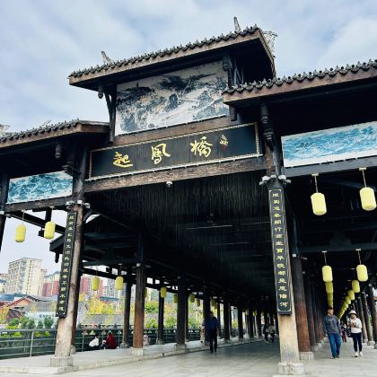 四川巴中恩阳古镇+南龛石窟+北龛石窟+望王山一日活动中英文服务