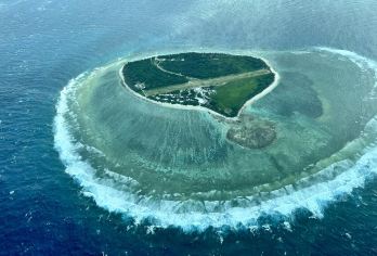 澳大利亚黄金海岸或布里斯班出发-伊利特女士岛大堡礁一日游【大堡礁南端美丽景色，海龟栖息地，魔鬼鱼】