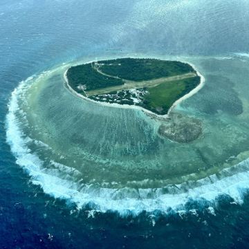 澳大利亚黄金海岸或布里斯班出发-伊利特女士岛大堡礁一日游