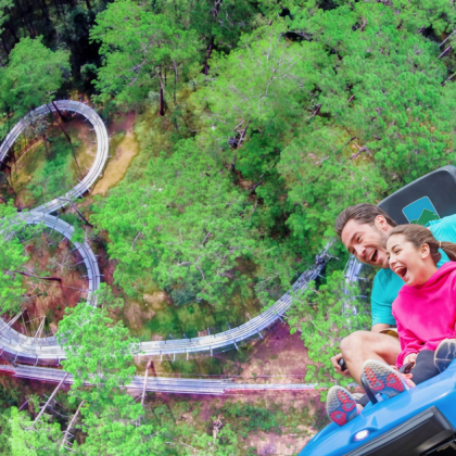 大叻至芽庄：疯屋子、黏土隧道与达塔拉瀑布