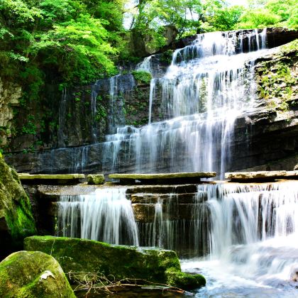 汉中黎坪森林公园直通一日游【精品团/纯玩无购物/高铁站起止】