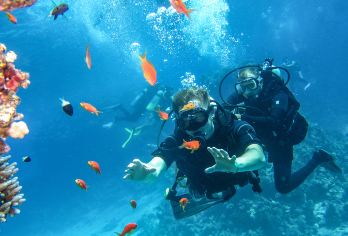 芽庄海钓+潜水+龙虾BBQ+滑梯一日|自营潜水店+中文导游【[玩法升级]避开人流拥挤的海岛，出海浮潜/深潜/海钓+抓海胆海星+赠送魔毯/桨板等水上项目】