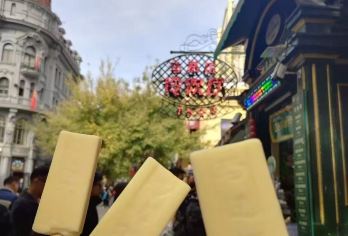 哈尔滨-松花江＋中央大街＋东北虎林园一日游【[精华景区]中央大街、索菲亚教堂广场、松花江铁路桥、东北虎林园、中华巴洛克等】