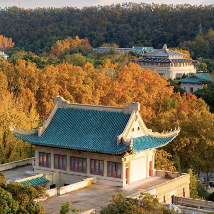 武汉大学半日游[2小时人工深度精讲＋独立耳麦＋纯玩＋私家团]