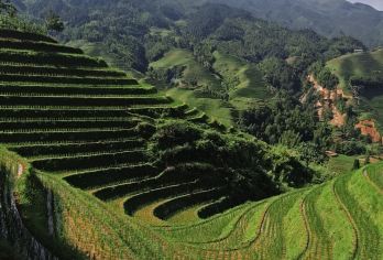 桂林：龙脊梯田一日游及小船短途游河。【探索龙脊梯田的雕塑般景观 在私人导游的带领下，了解瑶族和壮族文化。 享受从桂林酒店出发的私人门到门接送服务，放松身心。】