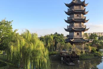 江苏盐城中华麋鹿园+黄海森林公园+荷兰花海一日游-可英文服务【提供多语种服务、全程专车接送、热门景点门票代订一站式旅行服务】