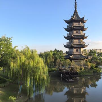 江苏盐城中华麋鹿园+黄海森林公园+荷兰花海一日游可中英文服务