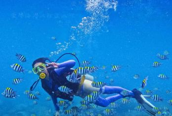 惠州双月湾潜水·小星山深潜体验+快艇往返+包含所有装备【海底15分钟沉浸式体验！看海底彩色的鱼儿，探索神秘海底；】