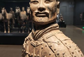 【8-15人团】兵马俑+丽山园+千古情/驼铃传奇/长恨歌【◆[丽山园]“石铠甲坑”； “百戏俑”； “文官俑”不同于兵马俑1/2/3号坑的独特观感~】