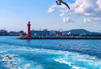 咸德海水浴场+牛岛+城山+涉地可支【济州东线B】市区酒店可接【打卡东线经典景点|两种团型可选】