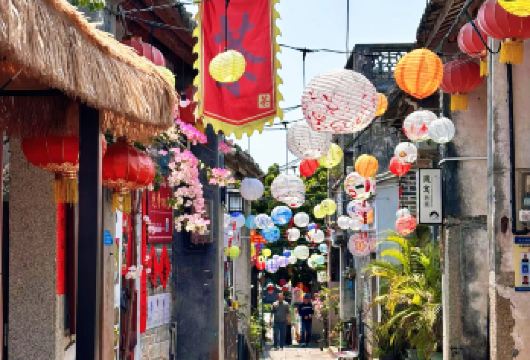 深圳大鹏一日游包车游【古城+较场尾+杨梅坑+桔钓沙+附近景点【司机兼向导，可以车上推荐景点和美食。】