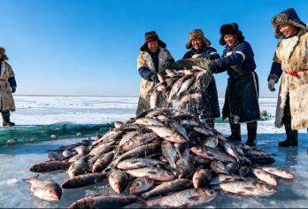 【去冬捕！】吉林长春查干湖冬季捕鱼1日包车（可约中/英司导）【见万尾鲜鱼破冰而出的名场面】