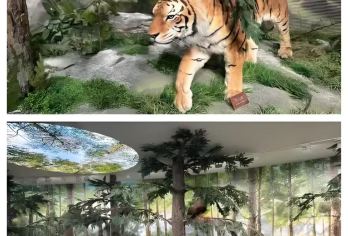 珲春东北虎豹科普馆+防川+敬信湿地纯玩包车一日游2-6人小团【游防川·一眼望三国、敬信湿地等多景点，拒绝走马观花】