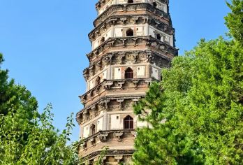 苏州精华一日游【拙政园+狮子林+虎丘+寒山寺】门票·英文讲解【黄金组合：浓缩苏州园林与历史精华】