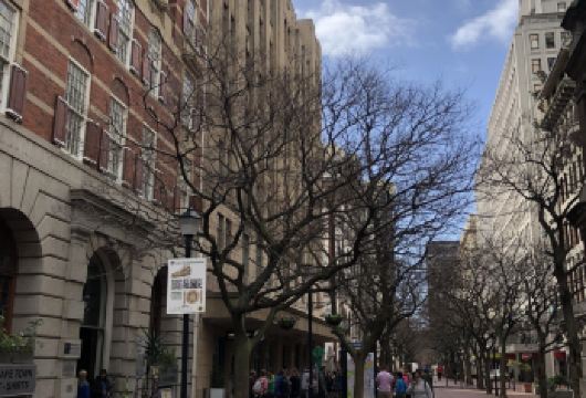 【开普敦经典一日游】长街+绿点公园+信号山+坎普斯湾【包车成团，尽情体验开普敦风光】