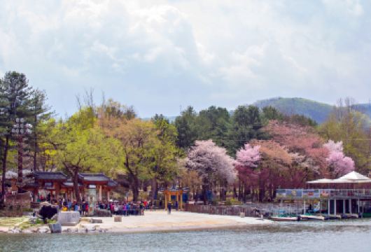 春川旅游一日游【南怡岛+铁路脚踏车+晨静树木园+羊驼世界】【浪漫南怡岛赏自然美景，体验江畔铁路脚踏车；漫步晨静树木园花海，与羊驼世界近距离互动，轻松充实的一日游】