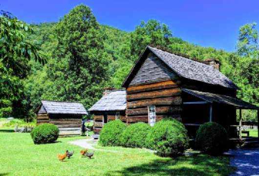 美国亚特兰大-大烟山国家公园-周边小镇【中文专车-悦享旅程】【中文专车出行，景点灵活调整，打卡经典，游玩自己定义，无需等待，专属贴心服务，尽享惬意旅程】