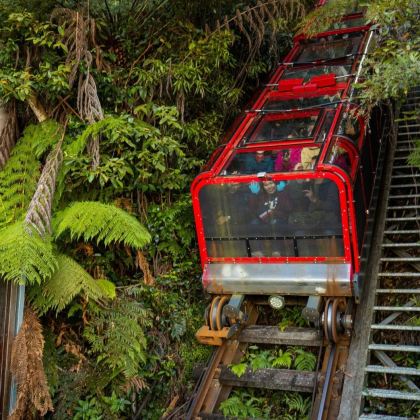 悉尼蓝山国家公园一日游【上门接送/含3种缆车票/中文服务】