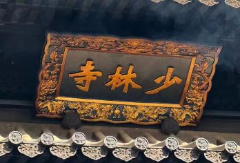 少林一日游【少林全景+武术表演学习+巡礼深度讲解+专车专导】【服务保障：2人就发团，专车专导，纯玩无购物，资深玩家，河南土著带你玩转少林寺。】