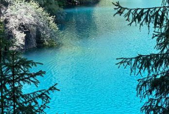 天山天池半日游【包车游】【可选早午班出发/市内免费接送/纯玩无购物】