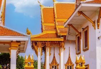 一路繁花赏洛阳：白马寺+中国国花园+博物馆 中英俄语导游EA【全程中文/英文/俄语服务，沟通无障碍，景点可调】