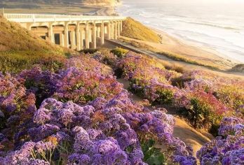 圣地亚哥航空母舰+圣迭戈海军基地包车游-打卡【盗梦空间】场地【圣地亚哥老城：保留西班牙殖民建筑和墨西哥风情，免费参观博物馆，可体验当地美食和现场音乐表演】