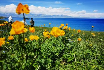 新疆伊犁赛里木湖一日游5人小团【[核心优势]轻奢5人小团不拥挤 每个人都可以靠窗哦 七座商务旅游车；[一价全含]全程自驾环湖不换车】