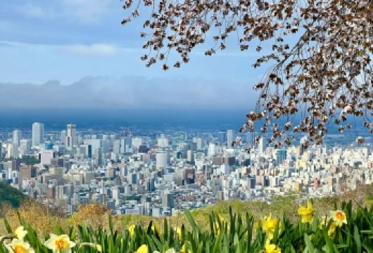 日本札幌市区浪漫风情体验/可小樽登别富良野北海道多日包车精选【包车一日游，解锁旅行新方式！独立车辆配备经验丰富的老司机，为您量身打造专属行程。】