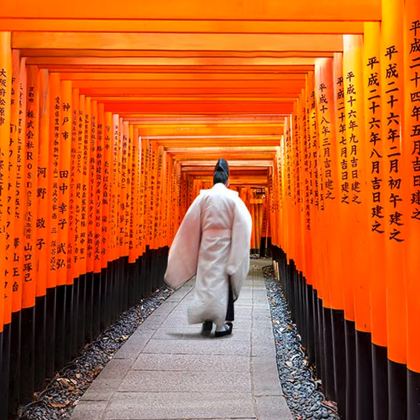【京都&奈良&宇治一日游】奈良公园+伏见稻荷+平等院+抹茶街