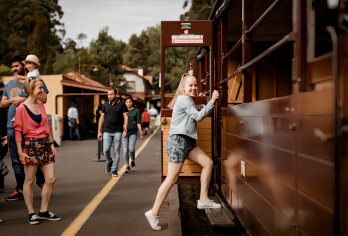 【接急单小团】墨尔本普芬比利蒸汽小火车+企鹅岛菲利普岛一日游【百年历史蒸汽火车，穿越丹顿农山脉，复古感拉满！探秘原始森林，打卡高架木桥，车窗外的油画级风景。】