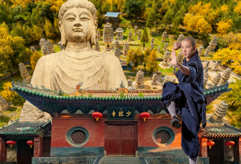 龙门石窟+少林寺一日游【2-8人精品小团+上门接送+含耳麦】【[纯玩无购物]不进店不购物，让您的旅游更纯粹】