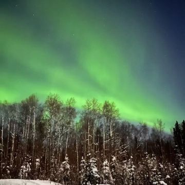 美国费尔班克斯圣诞老人村+极光+珍娜温泉【中文定制包车】