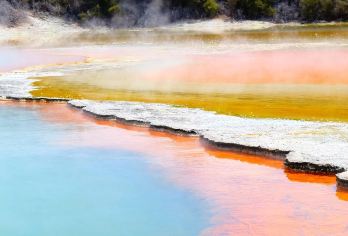 【中文司导包车游】奥克兰+怀·欧·塔普地热仙境+爱歌顿农场【中文司机+酒店接送+贴心管家[畅游80+国家，800+城市]】