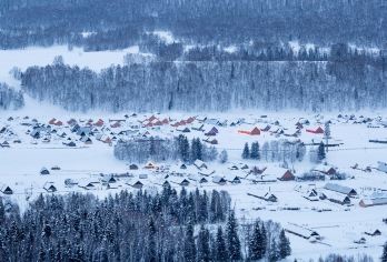 新疆喀纳斯/禾木/可可托海/三选一核心精华一日游【全程中文司导，包车10小时VIP服务】