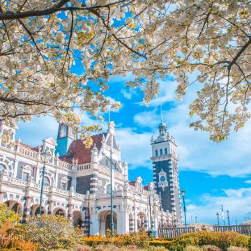 新西兰达尼丁：鲍德温街+火车站+奥塔哥半岛+拉纳克城堡自由行