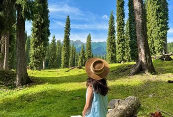 库尔德宁森旅∣纯玩小团畅游5小时【含门票∣送航拍∣市区接送】【◐1-6人小团∣本社自发∣七座商务旅游车∣全程不换车∣纯玩无购物】