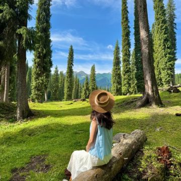 赠航拍【库尔德宁森旅】纯玩自驾畅游5小时∣含门票∣市区接送