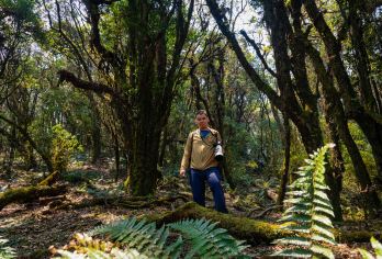 腾冲高黎贡山花寨大瀑布一日游【徒步+山野厨房烧烤+温泉】【私家开发徒步路线，保证私密空间，不用担心进山被干扰】