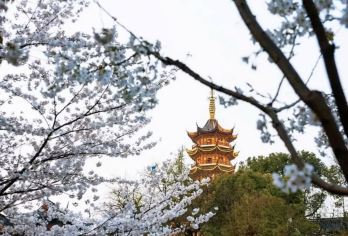 牛首山+雨花台+瞻园+明故宫+博物馆一日活动  导游/包车G【全程中文/英文/俄语/小语种服务，沟通无障碍，景点可调,多种车型可选】