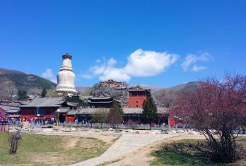 五台山+镇海寺+五爷庙+殊像寺+宝华寺一日游【石家庄出发】【安心--- 全程高速，方便快捷。】