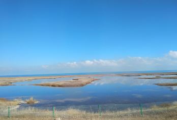 龙羊峡谷生态旅游度假区+日月山+青海倒淌河景区【10小时VIP小团服务】