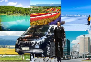 北海道旭山动物园美瑛青池精灵露台一日游【送旭山动物园门票】【无购物 亲子甄选 古镇古村】