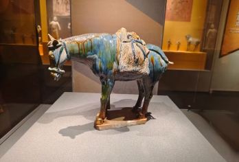 西安博物院半日游【含门票+资深人工讲解2小时+蓝牙耳机】【资深人工讲解.含耳机，防蹭听.讲解内容大人孩子都喜欢】