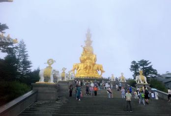 成都出发：峨眉山一日游【可选英文导游|专车接送|行程可调|可定制行程】