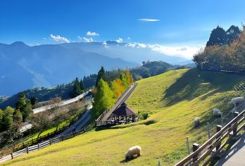 台湾台中出发+清境农场+老英格兰庄园+日月潭风景区【[高品质包车服务]舒适出行，全程安心便捷】