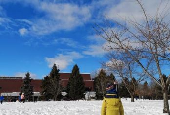 日本北海道+旭山+森林精灵阳台一日游/行程可调-可定制多日游【专属客服和本地中文司机，一家一团包车】